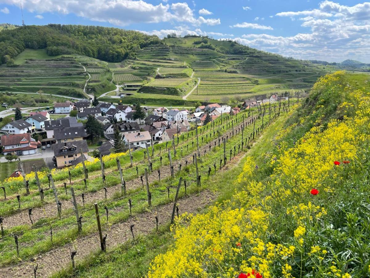 Weingut & Strausswirtschaft Vogel Apartment Vogtsburg Bagian luar foto