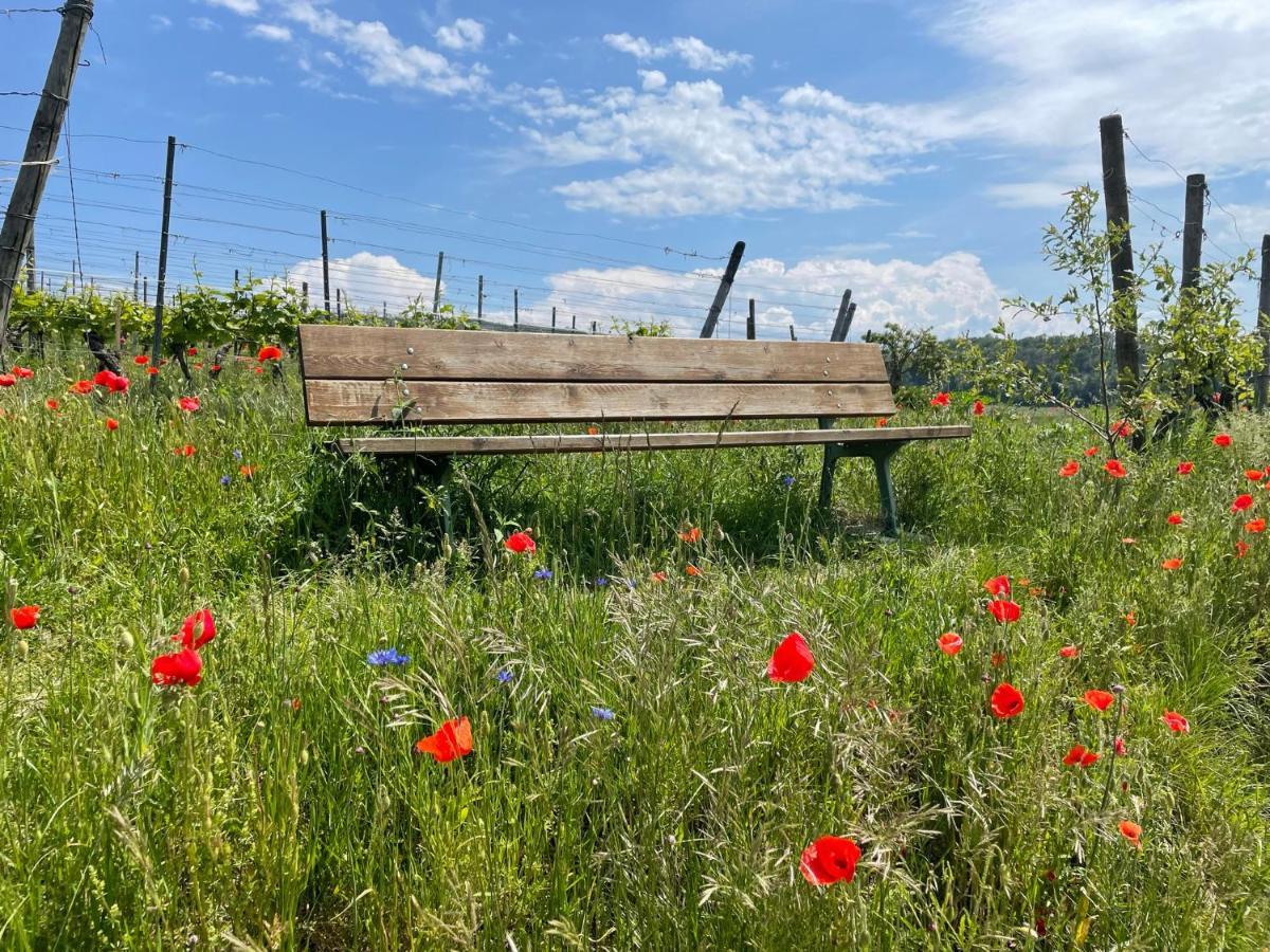 Weingut & Strausswirtschaft Vogel Apartment Vogtsburg Bagian luar foto