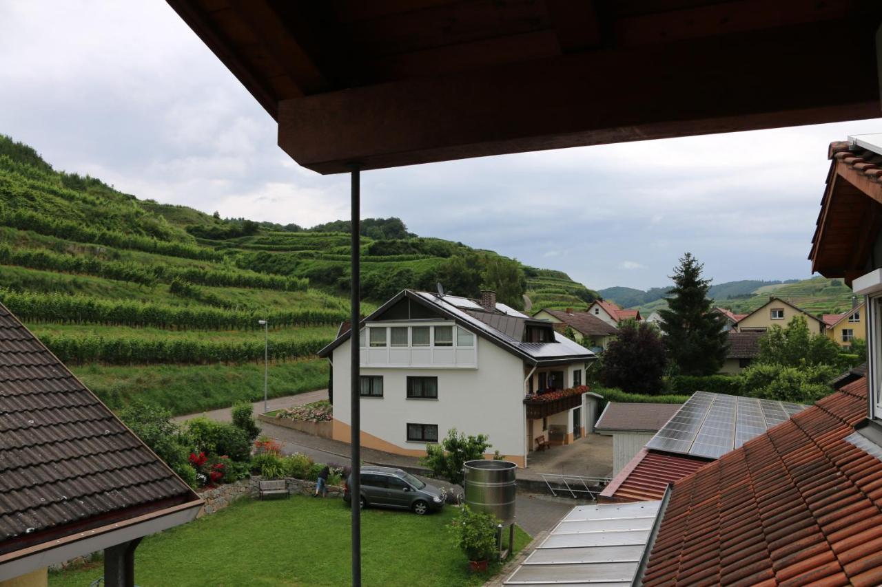 Weingut & Strausswirtschaft Vogel Apartment Vogtsburg Bagian luar foto