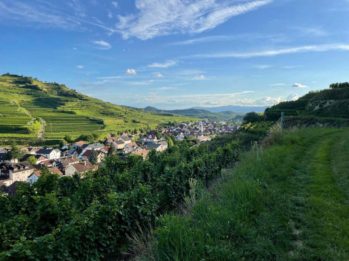 Weingut & Strausswirtschaft Vogel Apartment Vogtsburg Bagian luar foto