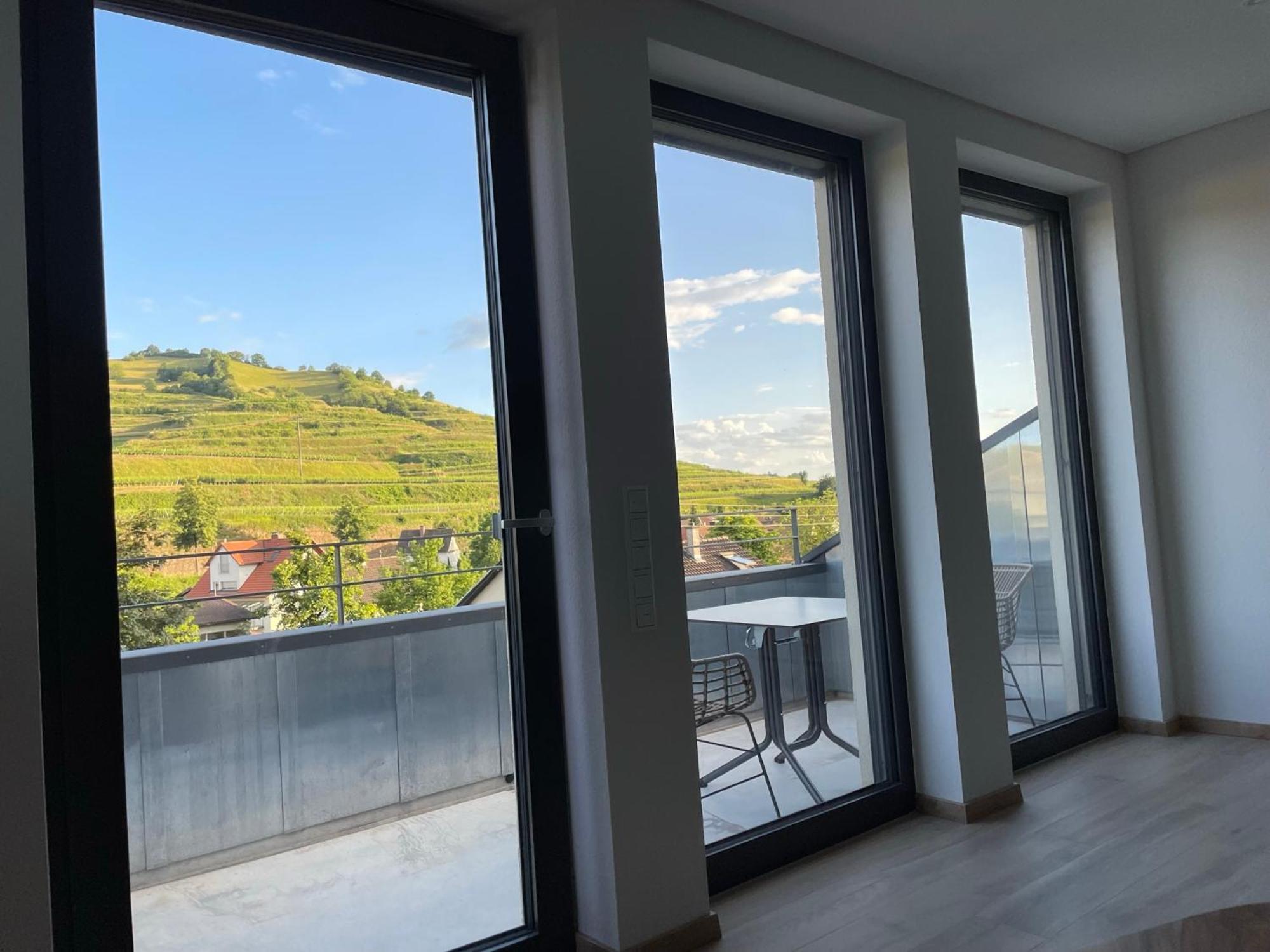 Weingut & Strausswirtschaft Vogel Apartment Vogtsburg Bagian luar foto