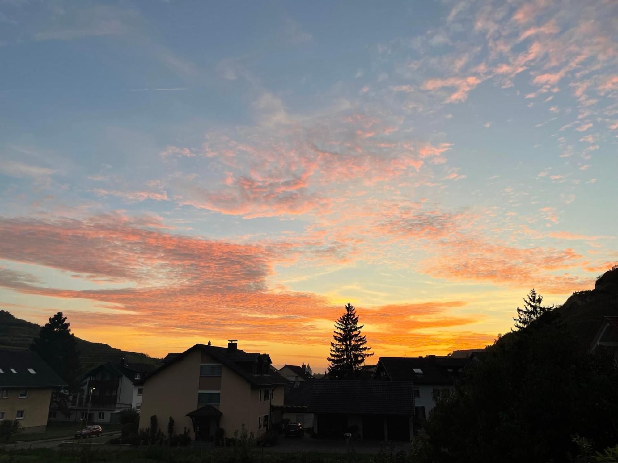 Weingut & Strausswirtschaft Vogel Apartment Vogtsburg Bagian luar foto