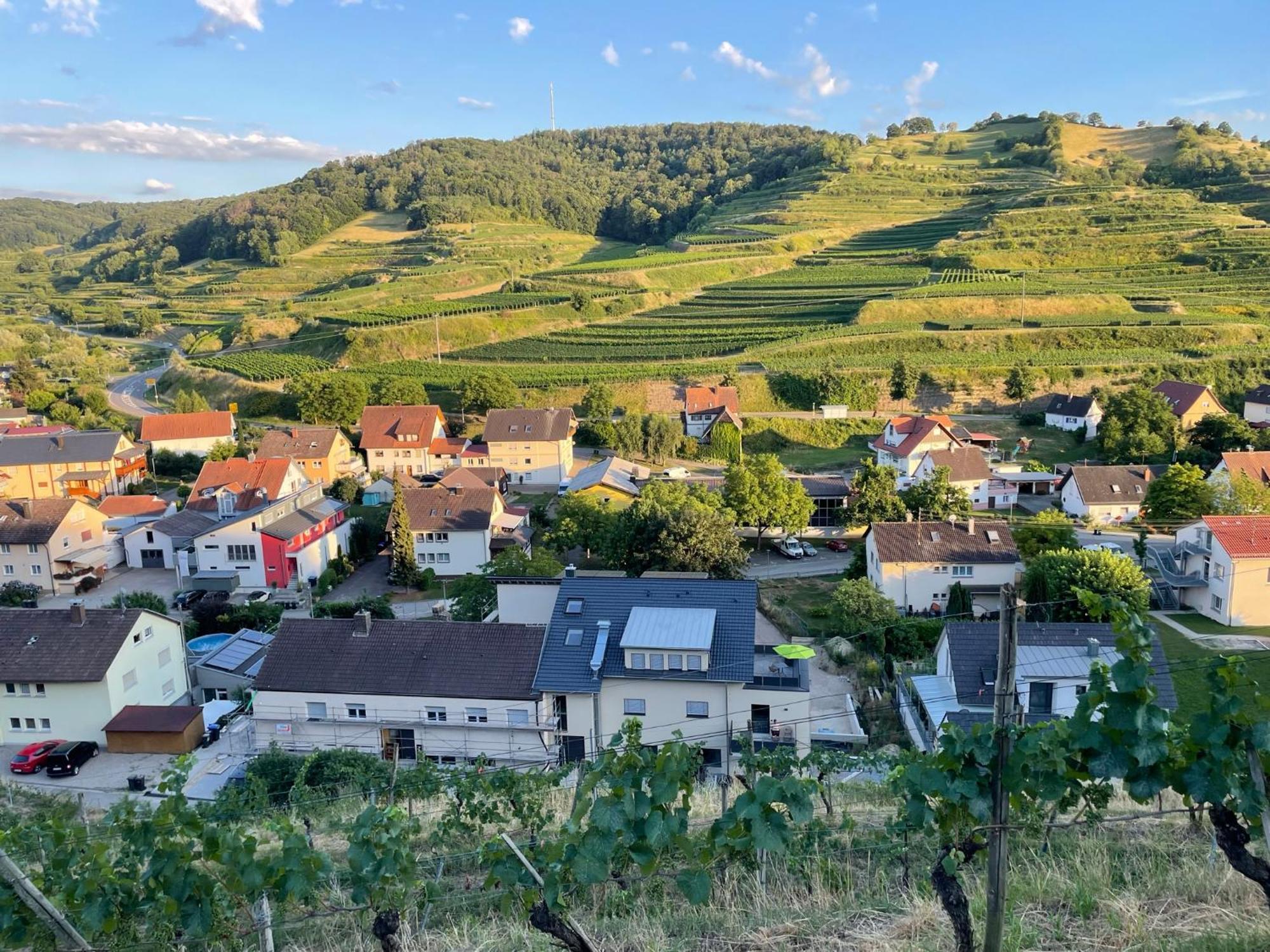 Weingut & Strausswirtschaft Vogel Apartment Vogtsburg Bagian luar foto